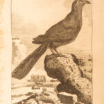 1793 – Natural History of Birds – Buffon | English Edition – Illustrated Ornithology