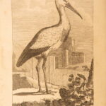 1793 – Natural History of Birds – Buffon | English Edition – Illustrated Ornithology