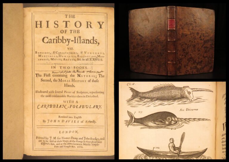 Image of 1666 – History of Caribbean Islands – Rochefort | Famous First English Edition