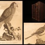1793 – Natural History of Birds – Buffon | English Edition – Illustrated Ornithology