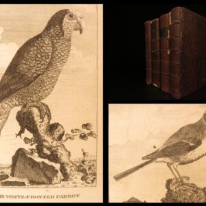 1793 – Natural History of Birds – Buffon | English Edition – Illustrated Ornithology