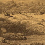 1887 – David Livingstone Zambezi Expedition | Africa Voyages & Exploration
