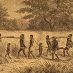 1887 – David Livingstone Zambezi Expedition | Africa Voyages & Exploration