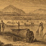 1887 – David Livingstone Zambezi Expedition | Africa Voyages & Exploration