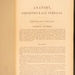 1878 – Anatomy – Henry Gray | Most Famous Medicine & Surgery Text, Illustrated