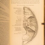 1878 – Anatomy – Henry Gray | Most Famous Medicine & Surgery Text, Illustrated