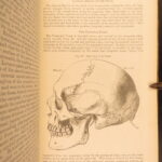1878 – Anatomy – Henry Gray | Most Famous Medicine & Surgery Text, Illustrated