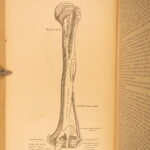 1878 – Anatomy – Henry Gray | Most Famous Medicine & Surgery Text, Illustrated