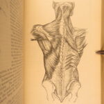1878 – Anatomy – Henry Gray | Most Famous Medicine & Surgery Text, Illustrated