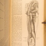 1878 – Anatomy – Henry Gray | Most Famous Medicine & Surgery Text, Illustrated