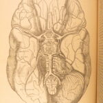 1878 – Anatomy – Henry Gray | Most Famous Medicine & Surgery Text, Illustrated