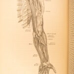 1878 – Anatomy – Henry Gray | Most Famous Medicine & Surgery Text, Illustrated