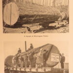 1912 – Tacoma, City of Destiny | Illustrated Views of Washington, Mountains