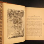 1873 – Bulls & Bears of New York – Hale Smith | American Economics & Capitalism