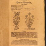 1611 – Kreutterbuch – Mattioli | Famous, Important Herbal – Illustrated Woodcuts