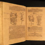 1611 – Kreutterbuch – Mattioli | Famous, Important Herbal – Illustrated Woodcuts