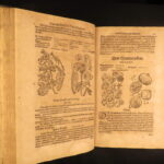 1611 – Kreutterbuch – Mattioli | Famous, Important Herbal – Illustrated Woodcuts