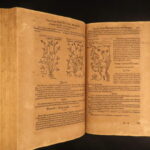 1611 – Kreutterbuch – Mattioli | Famous, Important Herbal – Illustrated Woodcuts