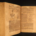 1611 – Kreutterbuch – Mattioli | Famous, Important Herbal – Illustrated Woodcuts