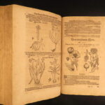 1611 – Kreutterbuch – Mattioli | Famous, Important Herbal – Illustrated Woodcuts