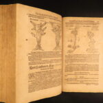 1611 – Kreutterbuch – Mattioli | Famous, Important Herbal – Illustrated Woodcuts