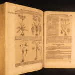 1611 – Kreutterbuch – Mattioli | Famous, Important Herbal – Illustrated Woodcuts
