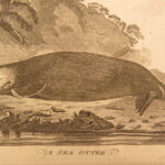 1786 – A Voyage to the Pacific Ocean – James Cook | Famous Exploration, Illustrated