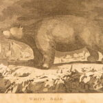 1786 – A Voyage to the Pacific Ocean – James Cook | Famous Exploration, Illustrated