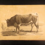 1850 – Natural History of Animals – Grobon | Huge Oblong Folio of Farm Animals