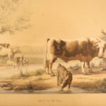 1850 – Natural History of Animals – Grobon | Huge Oblong Folio of Farm Animals