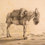 1850 – Natural History of Animals – Grobon | Huge Oblong Folio of Farm Animals