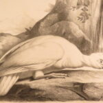 1850 – Natural History of Animals – Grobon | Huge Oblong Folio of Farm Animals