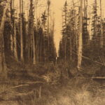 1878 – U.S. Territory Survey | First Edition – Rocky Mountains, Canada, Maps