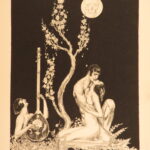 1931 – Kasidah of Haji Abdu El Yezdi, Burton | Willy Pogany Art, Sufi Philosophy