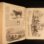 1856 – Illustrated London News | Crimean War, Russian Forts – England, Italy