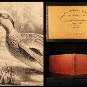 1850 – Natural History of Animals – Grobon | Huge Oblong Folio of Farm Animals