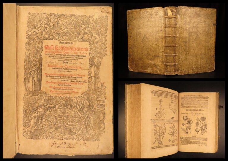 Image of 1611 – Kreutterbuch – Mattioli | Famous, Important Herbal – Illustrated Woodcuts