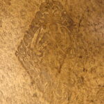 1611 – Kreutterbuch – Mattioli | Famous, Important Herbal – Illustrated Woodcuts